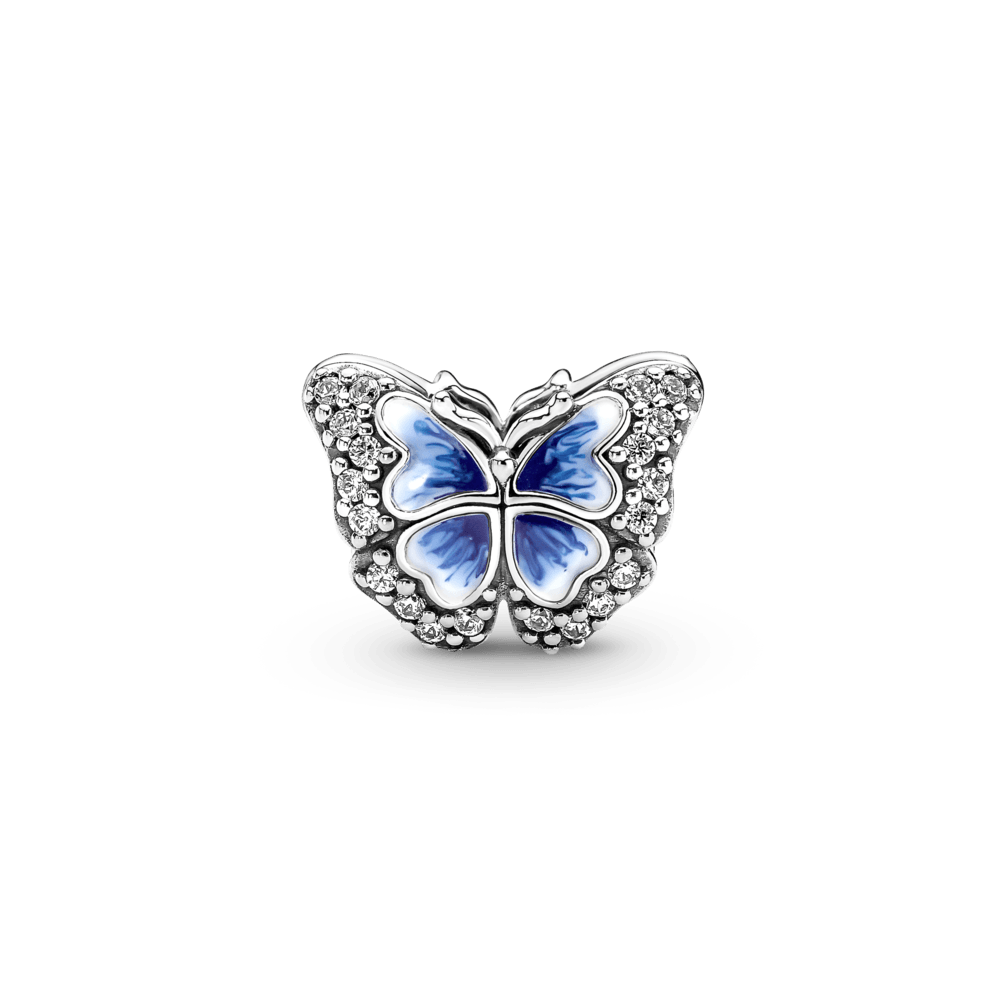 Mariposa con piedras