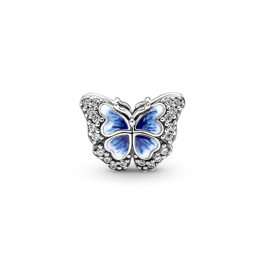 Mariposa con piedras